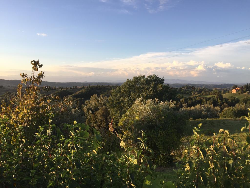 Vakantieboerderij Da Tilli Fornace - Montaione