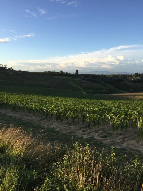 Da Tilli Fornace - Farm stay Montaione