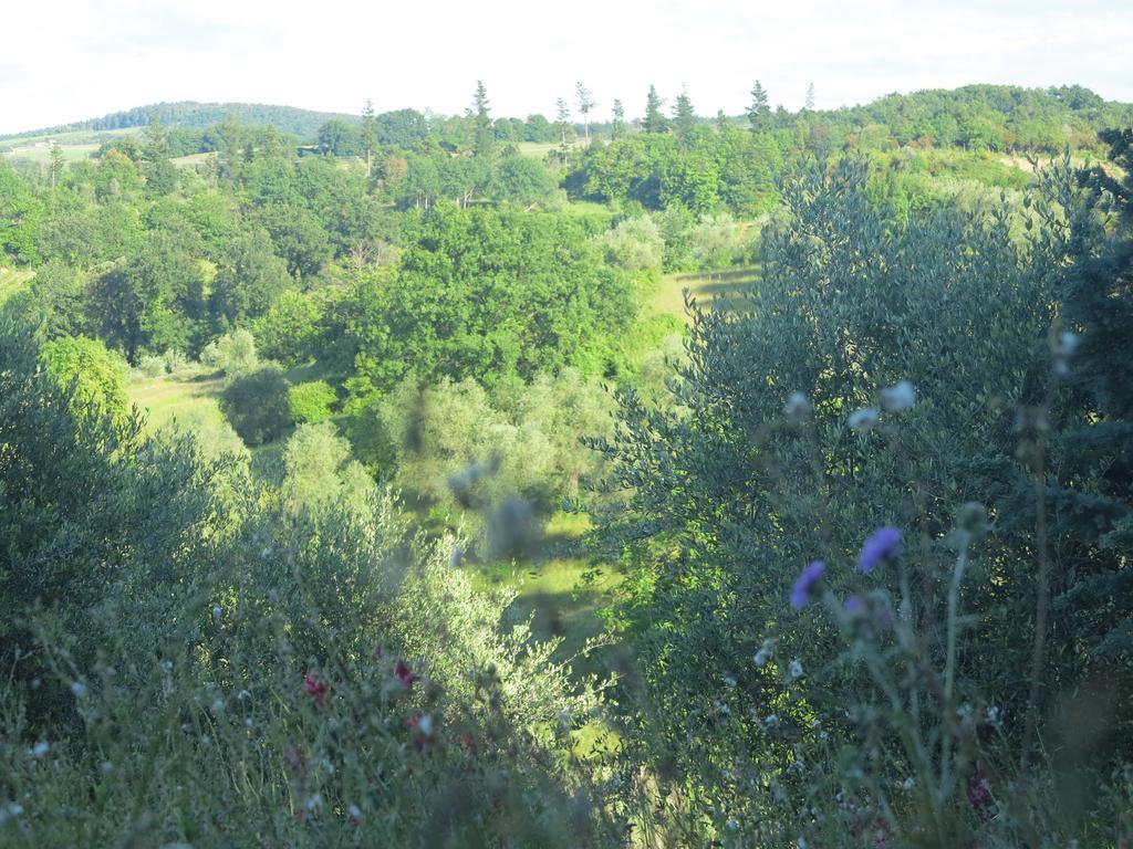 Da Tilli Fornace - Farm stay Montaione