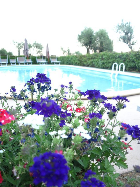 Da Tilli Fornace - * Montaione